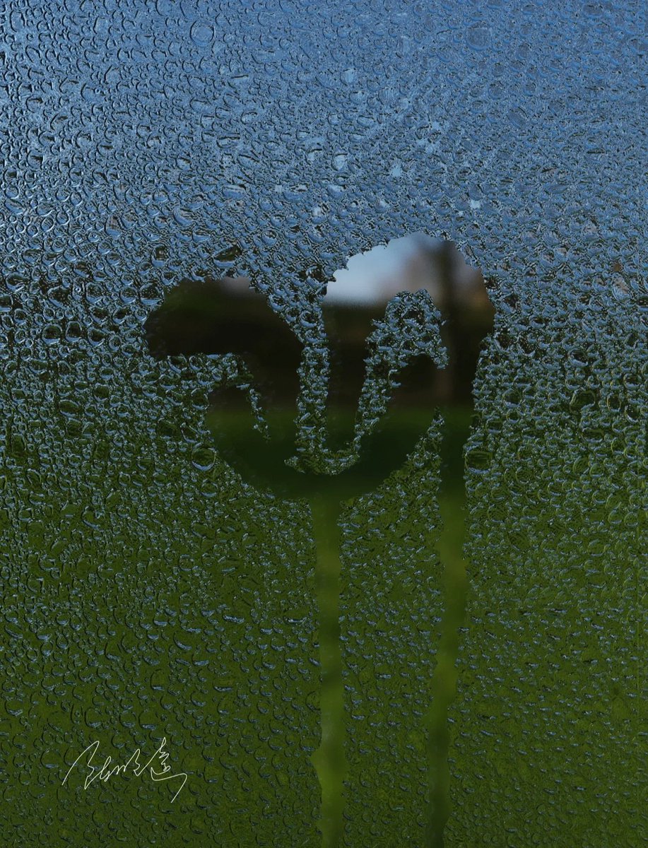 Ya_n__a's tweet photo. Just noticed rain droplets on my window sill—suddenly this quiet, cozy afternoon feels like a little gentle gift https://t.co/8t7WngleDT