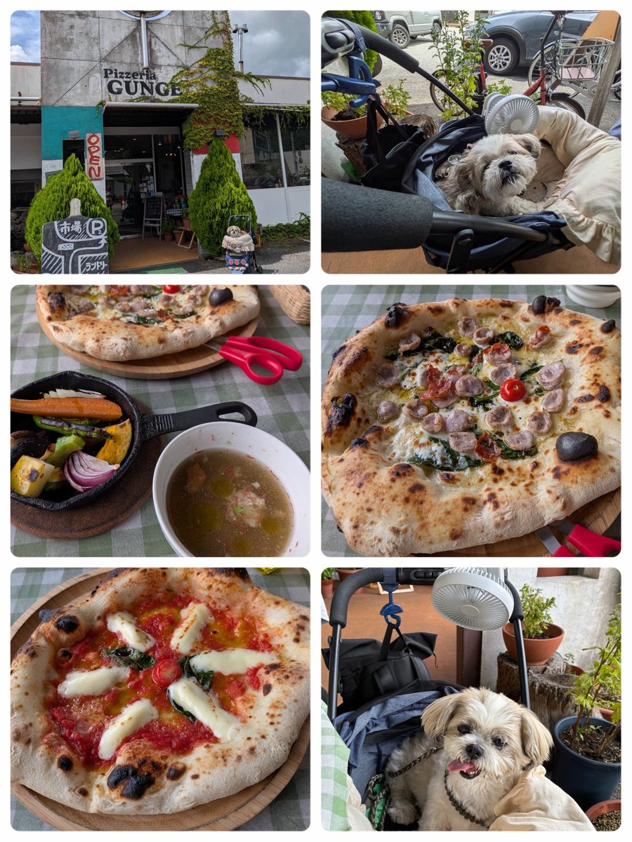palpal_love's tweet photo. 今日は朝ンポでるり渓にお散歩や川遊びに行ったよ。帰りにはピザ屋さんへ🍕 https://t.co/0MeM01I04a