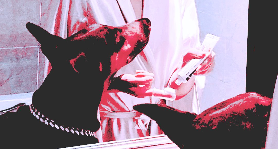 foircean's tweet photo. zzz . https://t.co/cnvEcURCyK