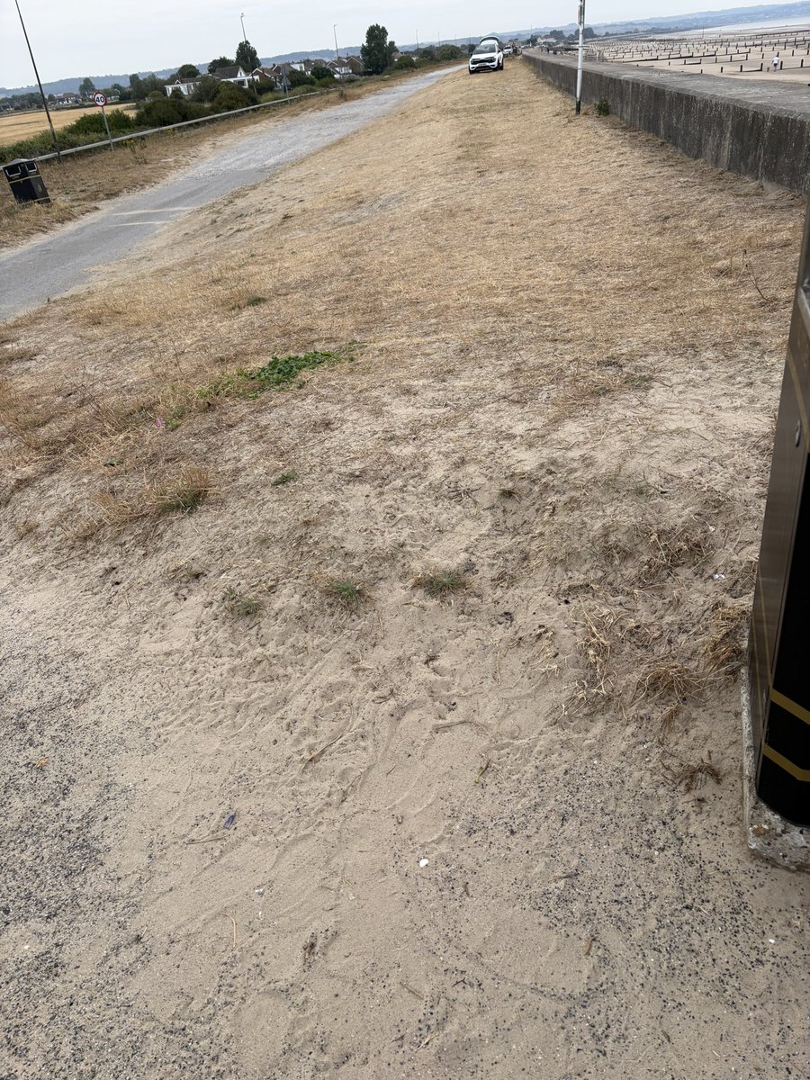 Clairie21's tweet photo. I accept it was the seagulls but the bin was completely empty 🙈🤷♀️ #litterpick #beachclean @fstonehythedc #lovewhereyoulive #doingourbit #weekend https://t.co/tVOCNDcVG0