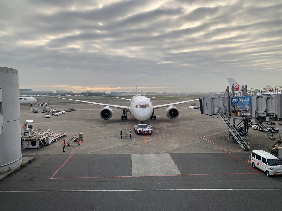 flyyukiAIR's tweet photo. JL131 羽田▶︎伊丹 JA831J
昨年珍しくE03仕様が入っていたので乗りました。 国際線用なので快適でしたが古さも感じました。 https://t.co/0xHHXyaChh