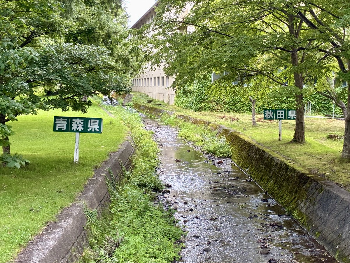 Kei_kikuchi88's tweet photo. 青森と秋田の間にいます https://t.co/8vm3MLIe8k