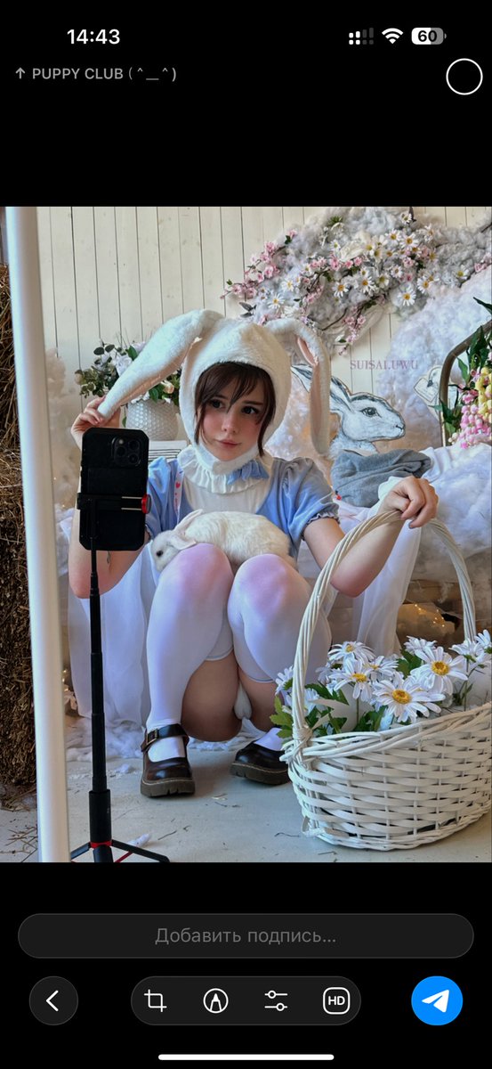 fuwa_puppy's tweet photo. One more bunny ^~^ https://t.co/nAUCyOIYcZ