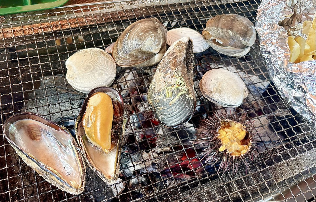 hoshisplatoon's tweet photo. 2日目家族と海の生き物パーティ🍶 https://t.co/foVch1oXAF