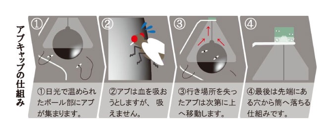 930_jp's tweet photo. メディアでも取り上げられた話題���アブ捕獲器「アブキャップ」が進化！ 持続可能な農業「放牧」を推進するファームエイジが新商品を開発。
https://t.co/qUMunP6ZUQ https://t.co/8J2LXwlQ7q