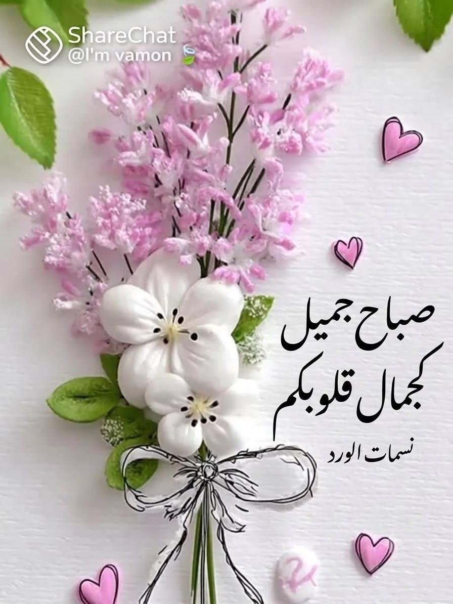 MutlaqAfaf's tweet photo. https://t.co/Bj9l64gdHz