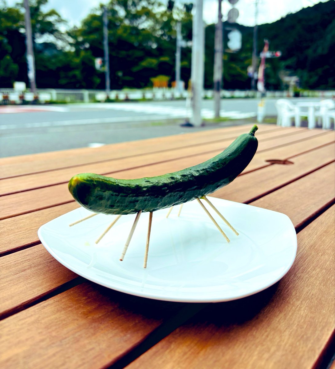 rintaro_bg's tweet photo. お急ぎのご先祖様向けに『スレイプニル精霊馬』を用意しました

乗れば気分はオーディン❗️

伝承では地上と死者の国を往来できるみたいなので　最適！最速！ https://t.co/LoleS4RqIa