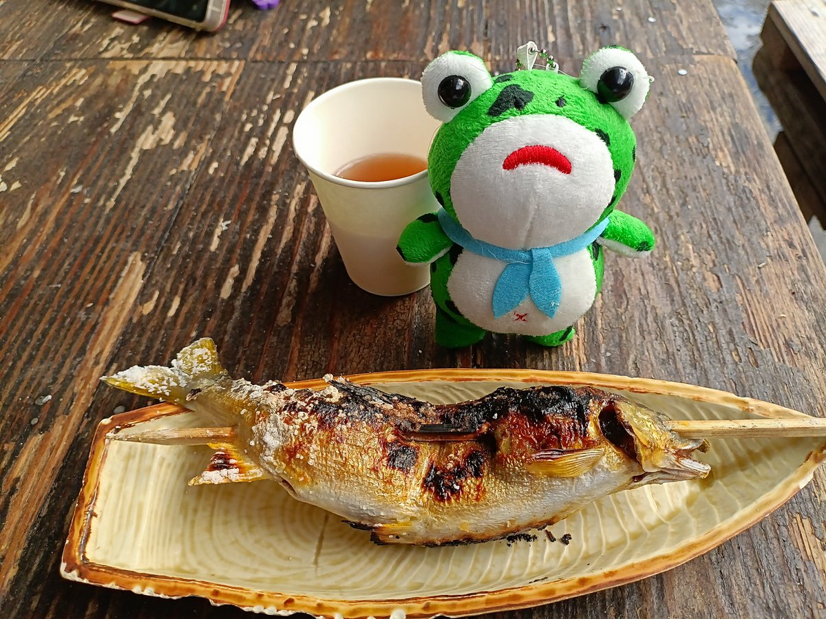 Topasei's tweet photo. 亀清さんの子持ち鮎は旅の最後に最高でした。😋 https://t.co/AVLt187Be1