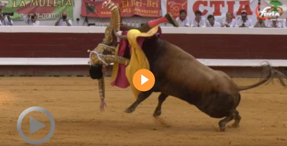 FeriaTV's tweet photo. VIDEO. Dax. Perera fait parler sa technique. Entrega sans réussite de Clemente https://t.co/9SbLICaPNs via @FeriaTV https://t.co/hoCyYrnu81