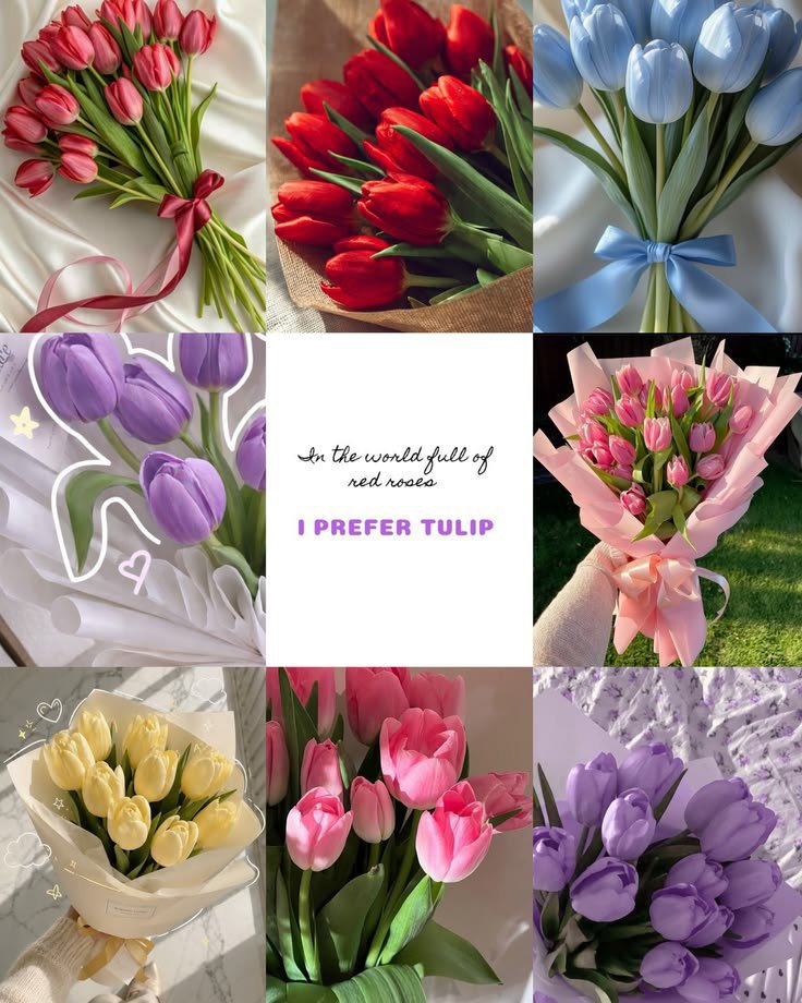 tutututututulip's tweet photo. https://t.co/c0VaqKmboE