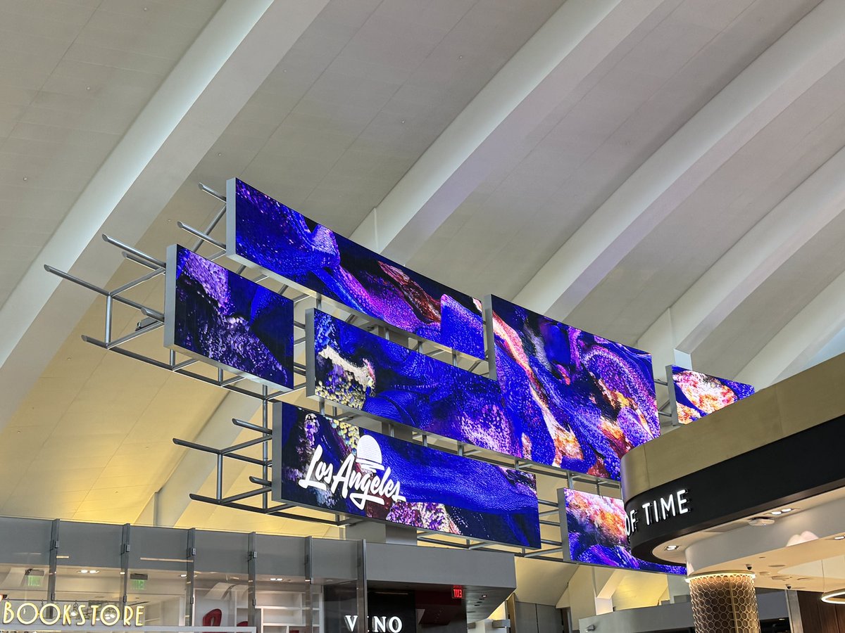 skrmochl's tweet photo. LAから飛び立って帰ってきた！✈️
丸亀安くてうまくて神
やっぱりアメリカは物価イカれてるよ、、ただいま〜！！ https://t.co/gHeFwEX5P4