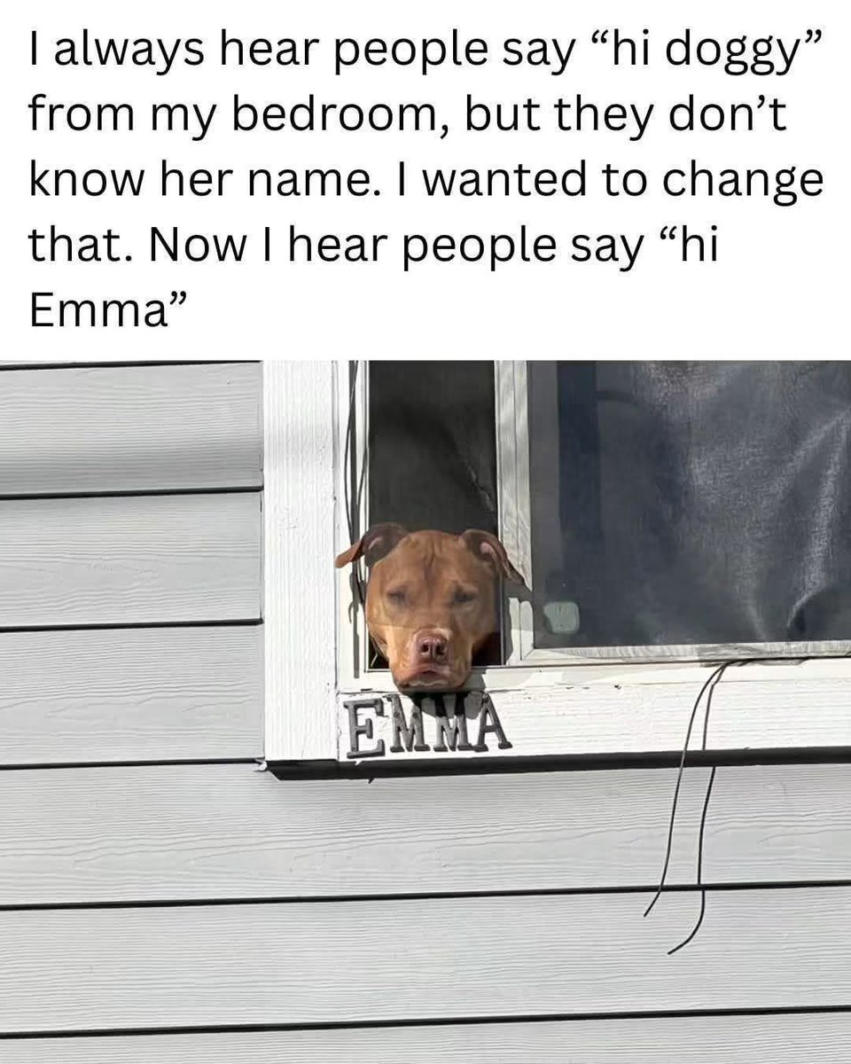 WholesomeMeme's tweet photo. https://t.co/pYqFFGcBQ7