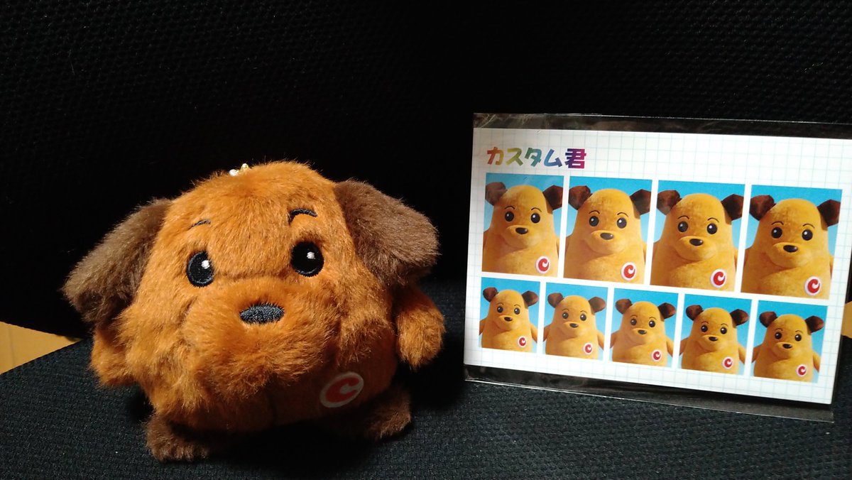 dMpKwuIZl725651's tweet photo. 新宿のポップアップストアに行ってきたワン🐾
#カスタム君 https://t.co/5lT3g5SHvn