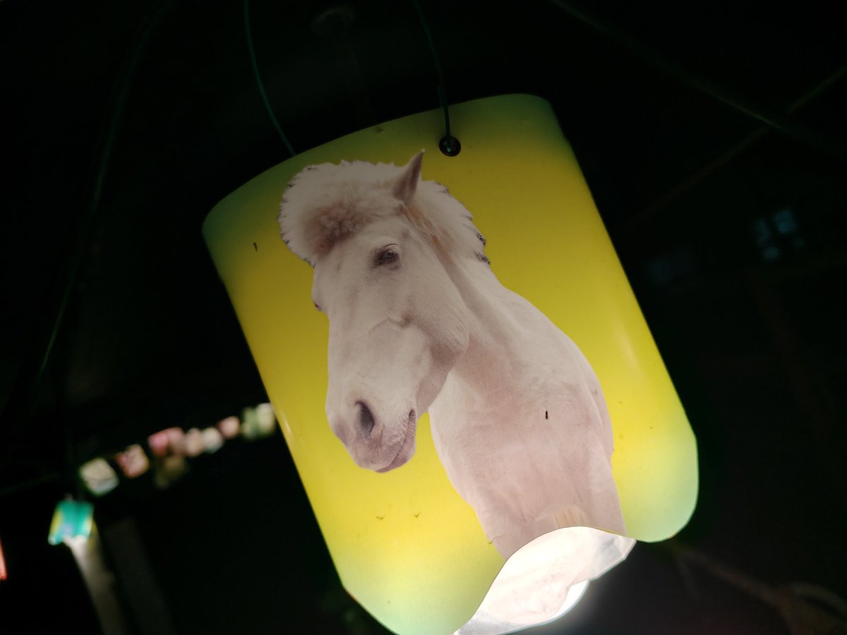ChikozanZoo's tweet photo. ナイトズー3日間ありがとうございました🌛
たくさんの方に足を運んでいただきました。
楽しんでいただけたでしょうか💭？
また、来年お会いしましょう🌜️

#智光山公園こども動物園 https://t.co/afMmyLieDv