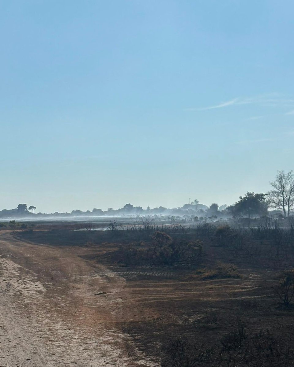 EngNewForest's tweet photo. ⚠️ In light of the Government's severe alert regarding wildfires we would like to remind everyone:

🚫 All BBQs - including disposable ones - campfires, and outdoor cooking equipment including stoves are permanently banned in the New Forest.

👇 https://t.co/hR9dWJVhxP
