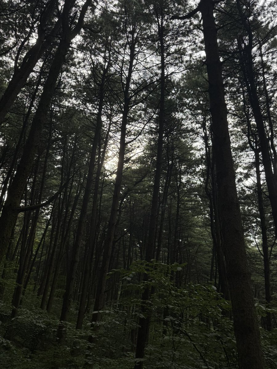 dptretc's tweet photo. 가평어택 https://t.co/m1GdLyUbLu