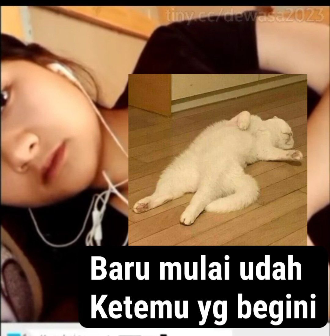 mieexay's tweet photo. https://t.co/YXVX82RkhS https://t.co/7I2Ty56rcI
