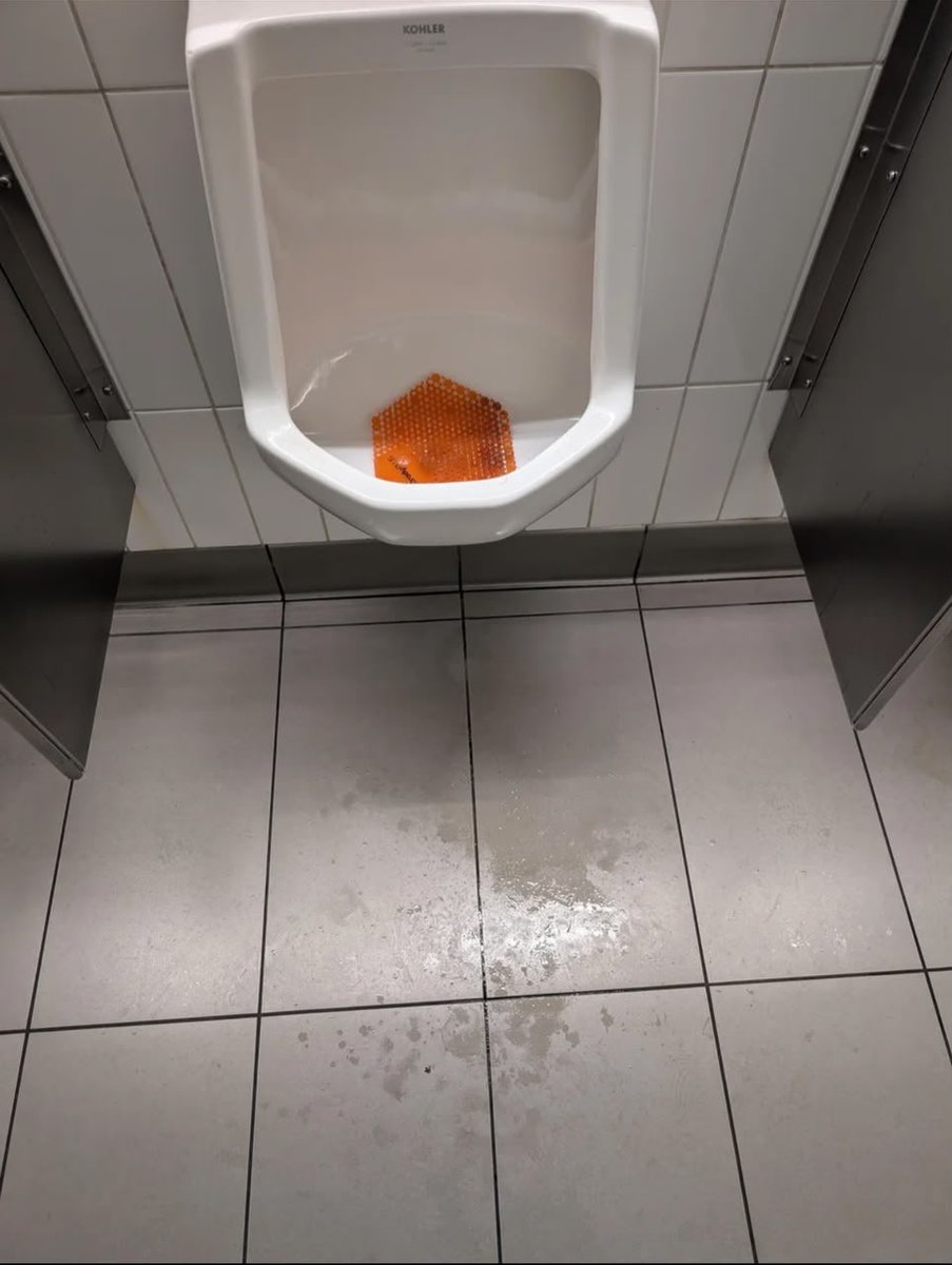 Tiannaya_'s tweet photo. Why does this happen SO often in men’s bathrooms? 😭💀 @grok, is there actually a scientific reason for this splashback, or are men just terrible at aiming? 👀 https://t.co/HOXb1EW2FE