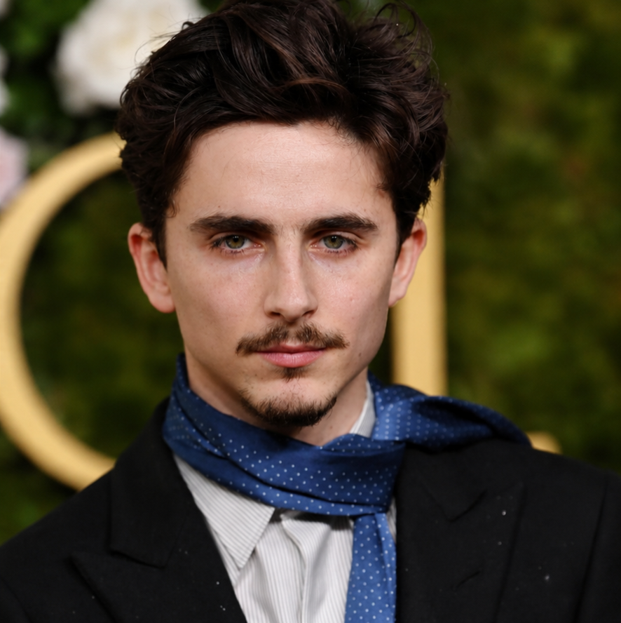 ChaosCrave_'s tweet photo. Timothée Chalamet is reportedly in early talks with Marvel Studios to play Harry Osborn in the next Spider-Man trilogy opposite Tom Holland. https://t.co/s4DEhRzdE1