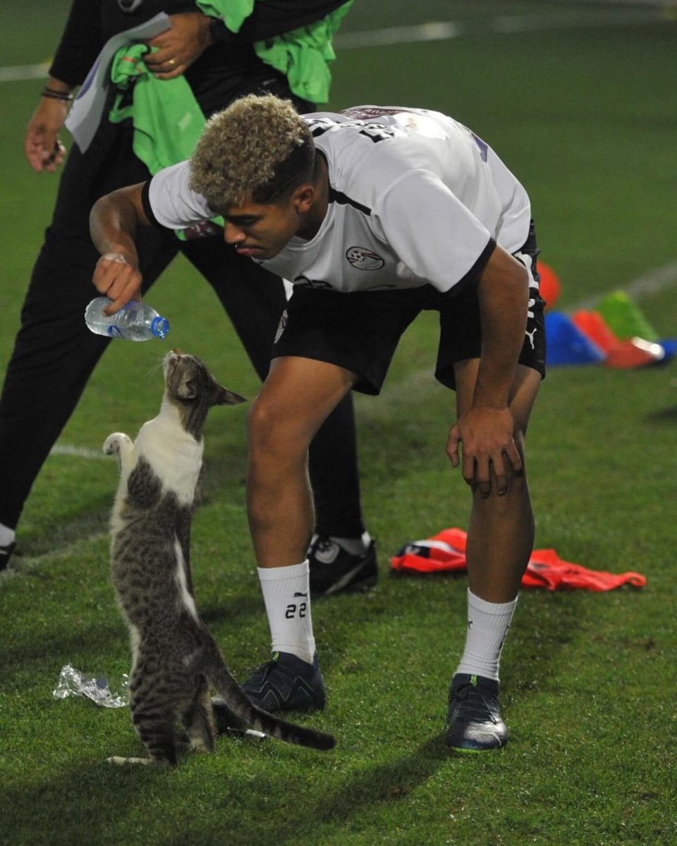 AcervoCharts's tweet photo. Jogador de futebol foi visto dando água para um gatinho que invadiu o campo com sede. https://t.co/hjlJlDGlZq