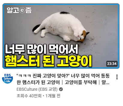 kiwiotaku100's tweet photo. 덱스터 "너무 놀래서 동물병원에 데리고 다녀왔는데 그냥 살찐 거라고 하더라. 내가 밥 많이 주지 말랬는데, 누군지 자수해라."

앞에 피닉스 파이어랑 타이건 무릎 꿇고 서로 가르키고 있음 https://t.co/zQujgchan1