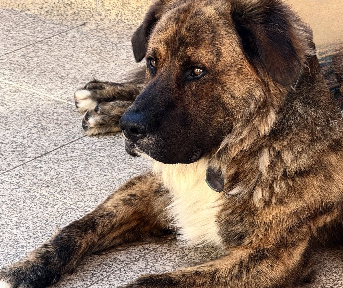 padrego's tweet photo. Bom dia ☀️ https://t.co/4pT8DzFZVR