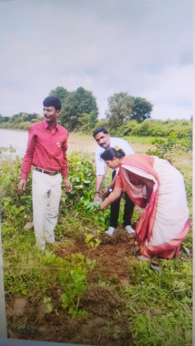 IecTaluk's tweet photo. ಇಂದು ಶಿವಮೊಗ್ಗ ಜಿಲ್ಲೆ ಶಿಕಾರಿಪುರ ತಾಲೂಕಿನಲ್ಲಿ 80ನೇ ಸ್ವಾತಂತ್ರ್ಯ ದಿನಾಚರಣೆಯ ಅಂಗವಾಗಿ ಅಮೃತ ಸರೋವರ ಗ್ರಾಮ ಪಂಚಾಯಿತಿಗಳ ವ್ಯಾಪ್ತಿಯಲ್ಲಿ ಧ್ವಜೋರೋಹಣ ಹಾಗೂ ಗಿಡ ನೆಡುವ ಮೂಲಕ ಆಚರಿಸಲಾಯಿತು https://t.co/4nmfVDsyAY