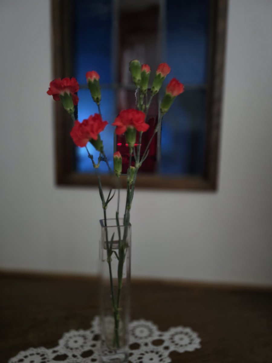 birdflower105's tweet photo. 今日の花 https://t.co/7yp9fQUwz5