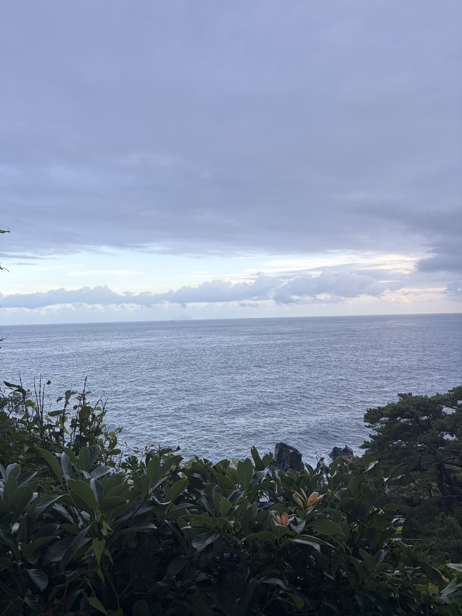 bee3ninja's tweet photo. 海って言ってんだろ🌊 https://t.co/C67lSAEFQ7