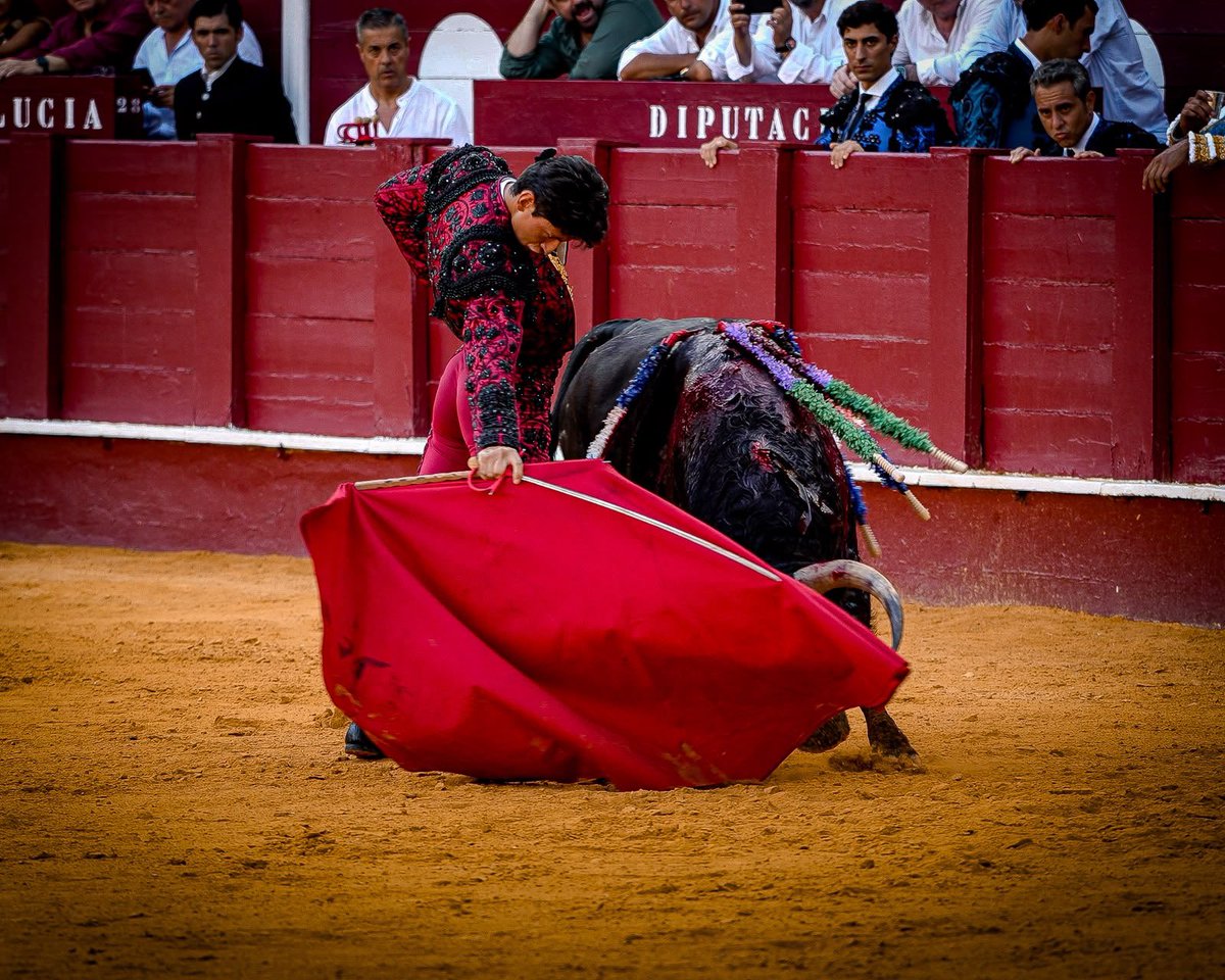 jesusdealba2's tweet photo. Oreja en Málaga.
Puro Osornio, Puro México https://t.co/0xJxl7fiX0
