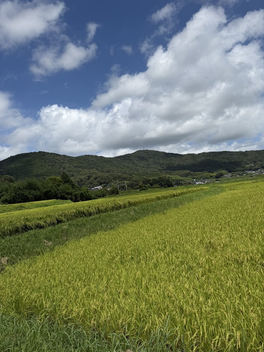 merutaso7010's tweet photo. お盆なので https://t.co/rXnY7pR7wA