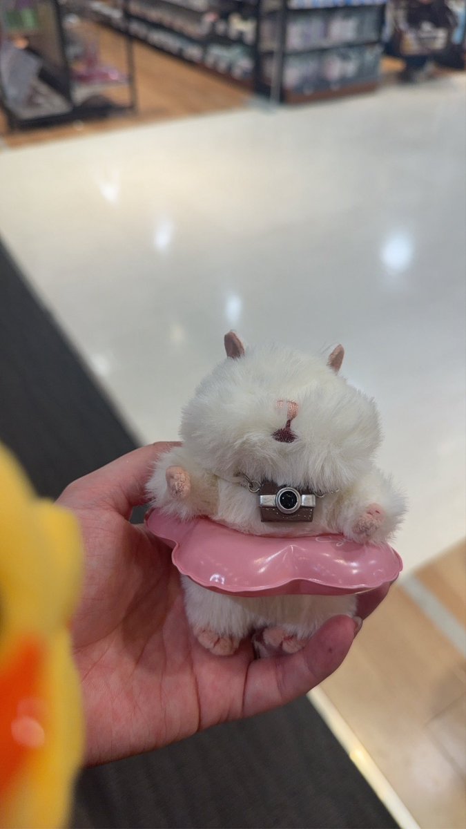pappun_pu's tweet photo. 深夜インスタに突然出てきたはむにぎりに一目惚れして三重のジャズドリームまでお迎えしてきた笑笑

お顔周りトリミングしてハーネス装着🐹✨何歳になってもぬいぐるみやめらんないんよな笑笑

それにしても可愛すぎんかおもちちゃん🤍

#はむにぎり
#りぶはあと
#カメラ一瞬で壊れて蝶ネクタイ https://t.co/WDH3FPBDG3