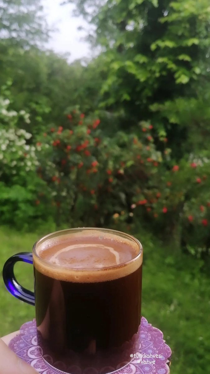 Ycdey52's tweet photo. Ruh hâlim de Karadeniz’in havası gibi; şöyle bir kahve içip kendime geleyim. ☕️🌧️ https://t.co/4IShdAX4ZH
