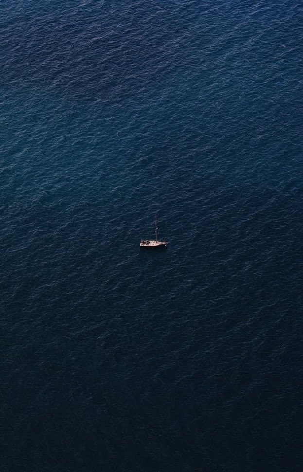 _Naturaee's tweet photo. Lost in blue https://t.co/j4PA2YHoiK