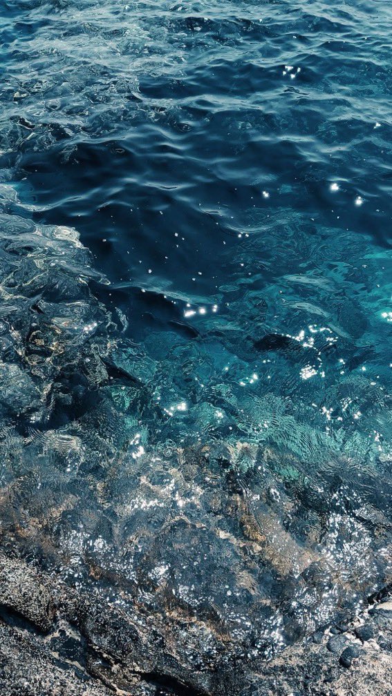 _Naturaee's tweet photo. Shades of blue https://t.co/MLtryufniz