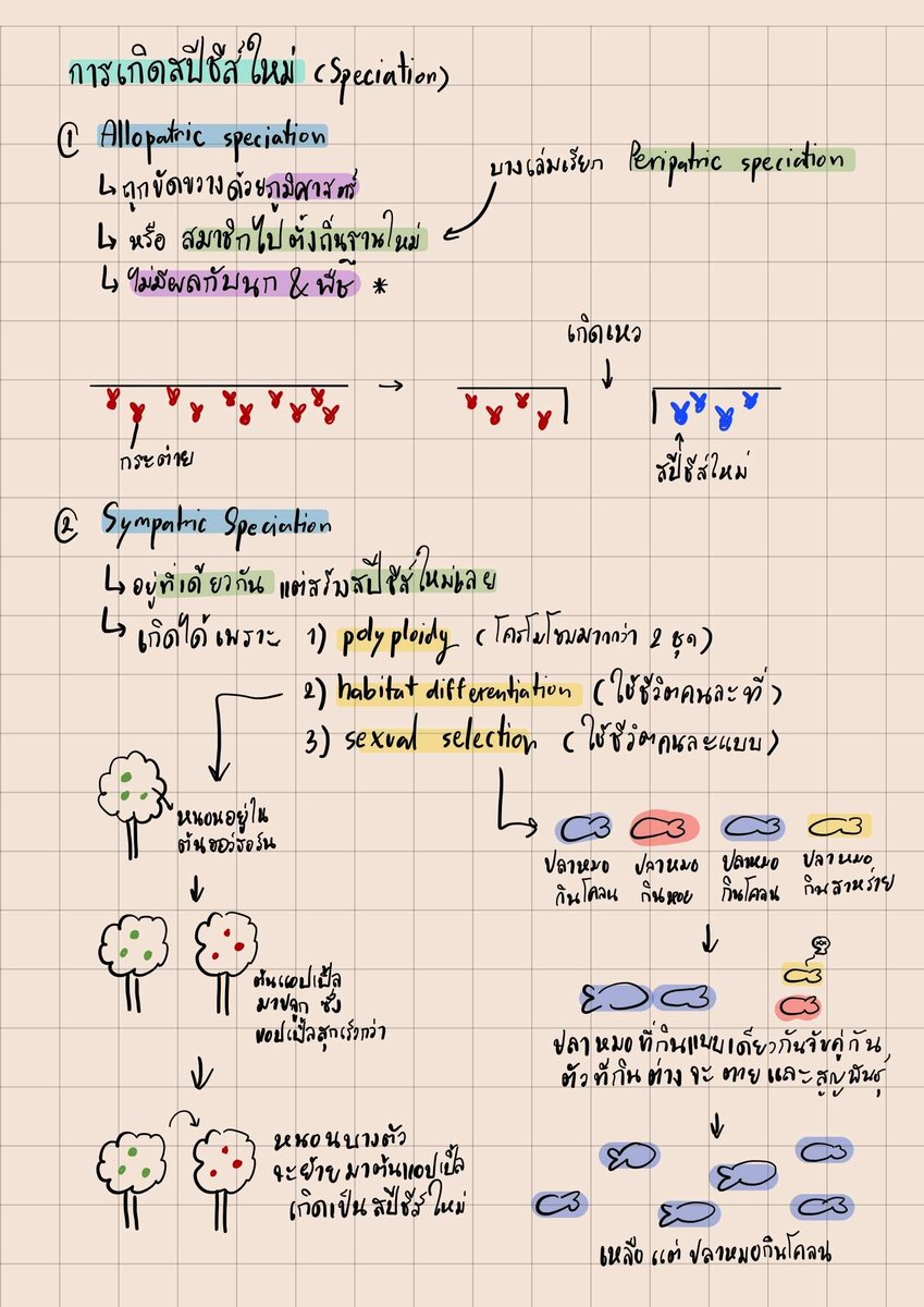 XySenseiVtuber's tweet photo. สรุป Speciation ของชีวะพรุ่งนี้ แบบสั้นๆย่อๆเลยครับ 💛
เรื่องนี้ออกแทบทุกครั้งเลย ถ้าเป็นไปได้พยายามอย่าทิ้งเรื่องนี้นะครับ ✨
#netsat https://t.co/m8xnDldAsb