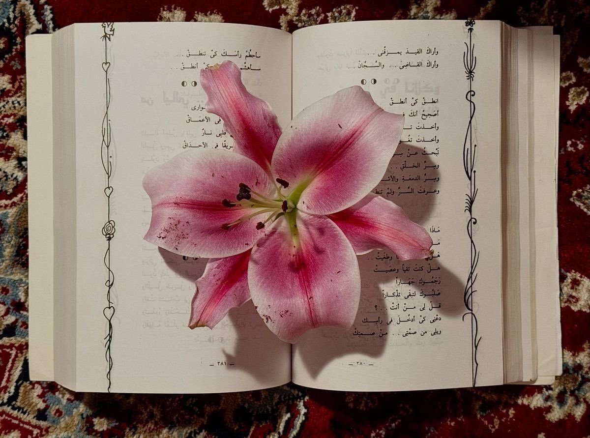 dreamyflowerrs's tweet photo. lilies 🩷 https://t.co/SiN0hnDE3T