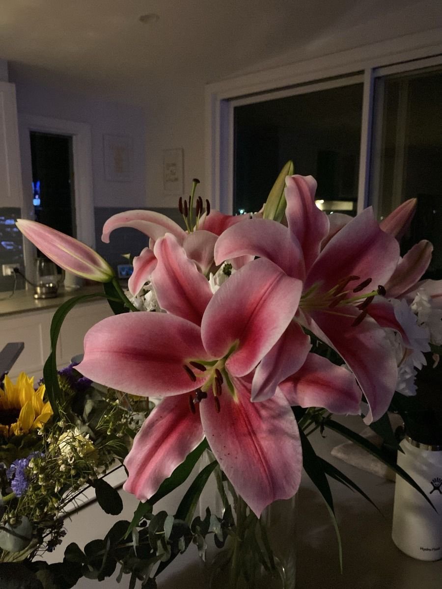 dreamyflowerrs's tweet photo. lilies 🩷 https://t.co/SiN0hnDE3T