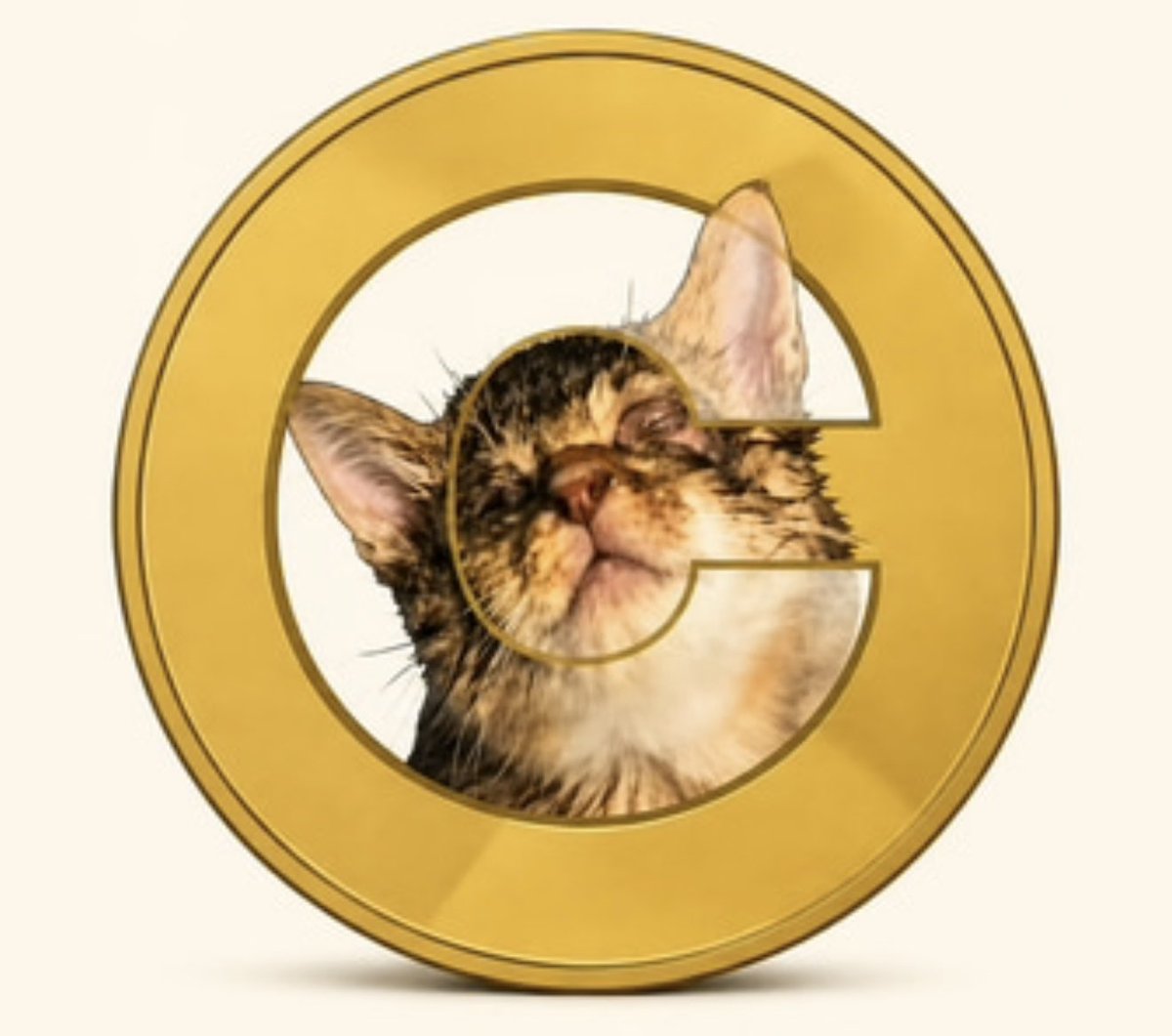 nftyboys's tweet photo. Hey @X product team, just a quick product note on Cashtags.

The @solana token $CATE (CA: Ai66LHZG9MCzg1WKdawwqduVAXpNDUuV8M3uyq5ppump) is trending daily, has solid volume and 70k+ holders, yet searching the contract address only returns plain text posts instead of resolving to the $CATE Cashtag.

This leaves users exposed to ticker collisions and scams. Would be great if the mapping could be prioritized so the CA correctly suggests the verified $CATE asset.

Thanks for everything you’re doing on the product side 🙏

@benjitaylor @singhai @dinkin_flickaa