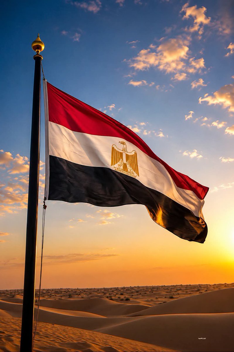 Ali98Elsayed's tweet photo. @RassdNewsN مدفع K9A1E1 Thunder: توطين تصنيع مدفع الهاوتزر الذاتي الحركة عيار 155 ملم بالتعاون مع كوريا  مع مركبة التزويد بالذخيرة K10.
​راجمة الصواريخ رعد 200: راجمة صواريخ مجنزرة مطورة ومصنعة محلياً  
​عائلة صواريخ صقر (Sakr): إنتاج راجمات وصواريخ متعددة الأعيرة (صقر 18، 36، 45، 122 ملم). https://t.co/YYaIdUo7Tq