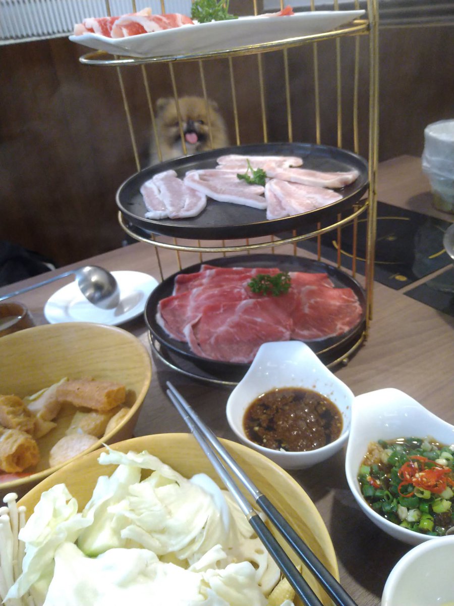FFCAM_0616's tweet photo. ペットフレンドリーのお鍋屋さんに行きました。
何となく牢屋の中に見えそうなジョジョｗｗｗｗ
食いしん坊がいっぱいおねだりしました❤❤ https://t.co/3te0kfDj2W