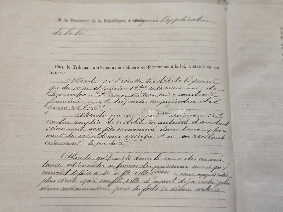 archiptere's tweet photo. Sinon a accompagné ma tante mordue de généalogie aux archives de Quimper pour savoir pourquoi notre arrière arrière (...) grand-mère avait fait de la prison en 1889

Je descends donc d'une voleuse de poules récidiviste https://t.co/XiPTL6TmCq