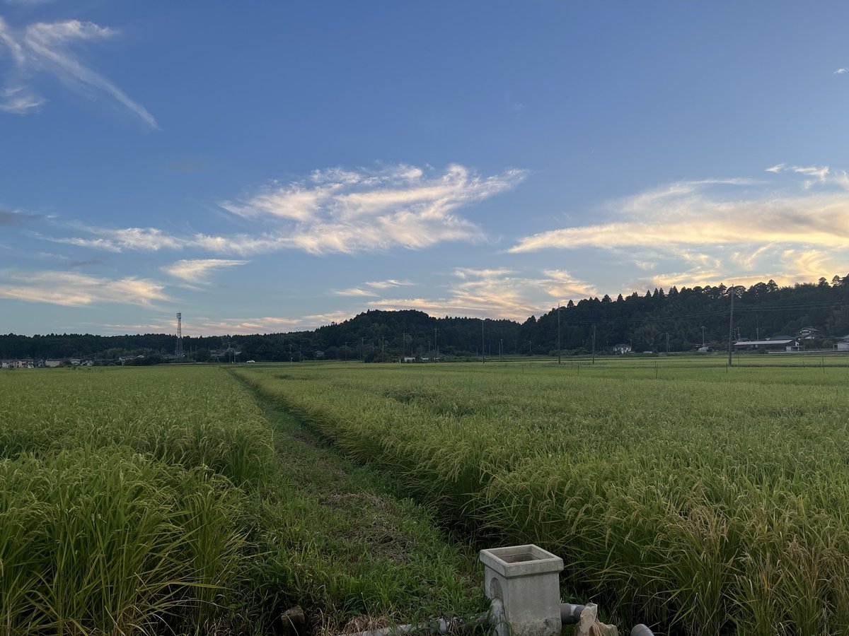 Wolf_dog3's tweet photo. 居心地がいい〜空気が美味しい  お盆 https://t.co/rWTmRrWtP8