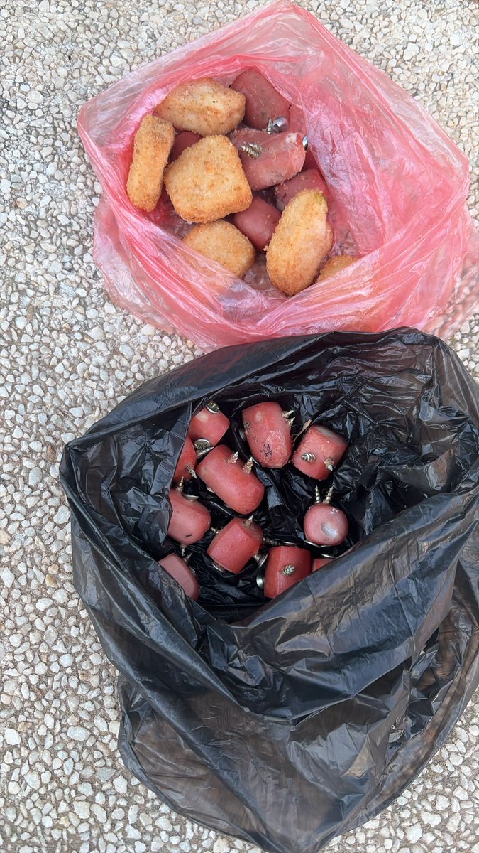 SusanaHornillo's tweet photo. Siguen apareciendo alimentos envenados y con clavos en el parque canino de Sevilla Este. Si no fuera por que las vecinas  se organizan, todo esto podría acabar dañando a mascotas y niños. Exigimos parques seguros. Esto tiene que acabar ya. https://t.co/3Zi410Lgrf