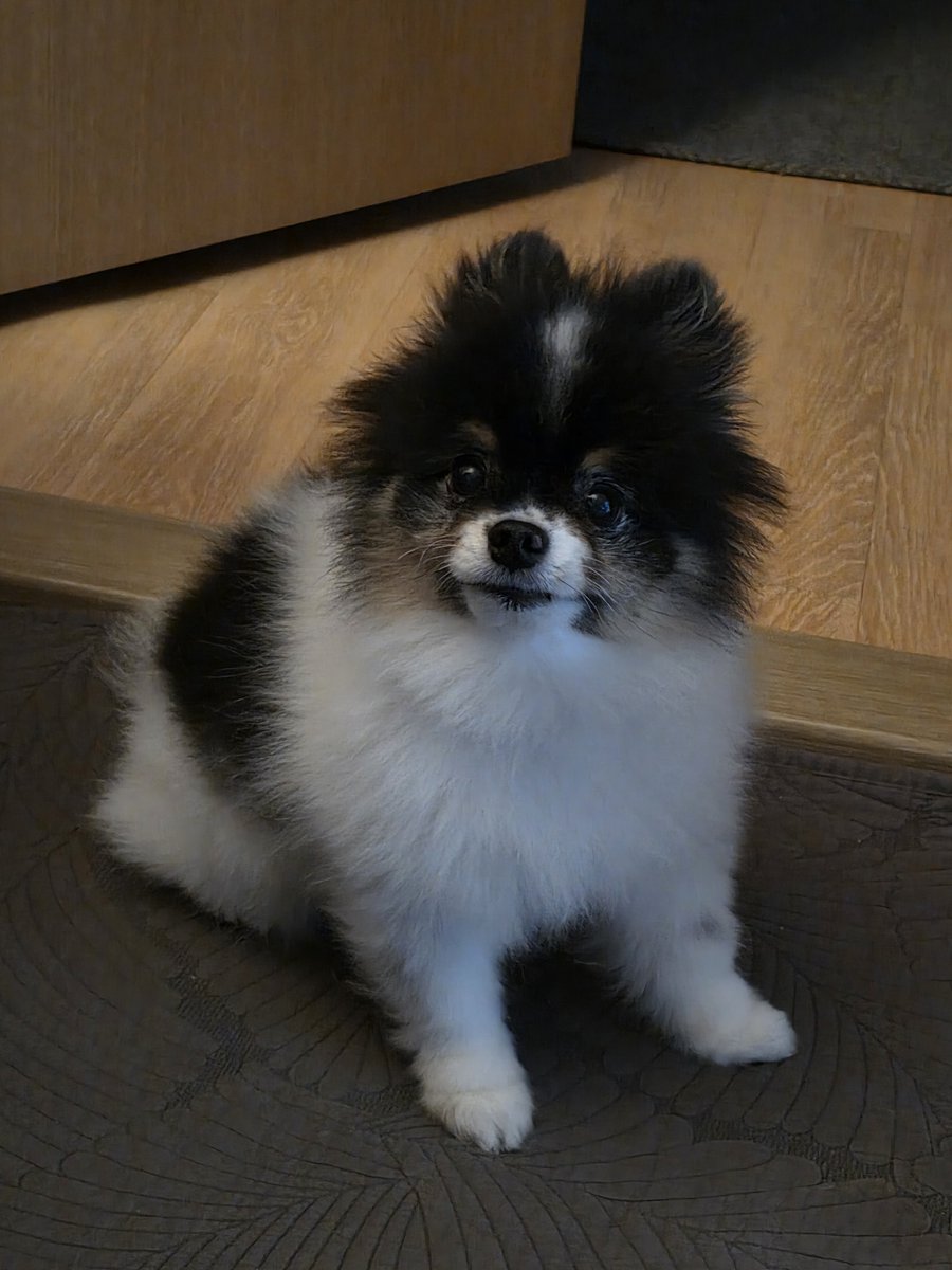 FORI_MINTHOLIC's tweet photo. 띠용 https://t.co/LwsIV4Dzln