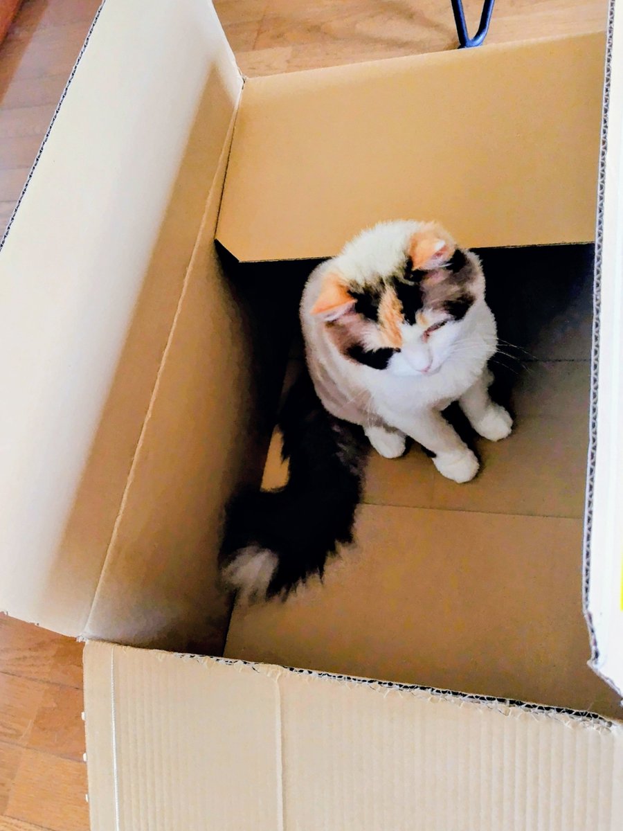 こけ深沢美潮先生作品23冊 こけ深沢美潮先生作品23冊 Amazon.co.jp