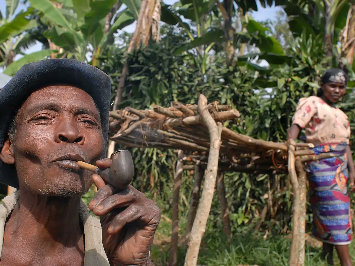 Greenway256's tweet photo. BEYOND THE GORILLAS: MEET THE BATWA PEOPLE OF UGANDA
The Batwa people have a long history connected to the rainforests of southwestern Uganda
A meaningful Batwa Cultural Experience is an opportunity to listen, learn, and understand their history and culture
#Batwa #UgandaSafari https://t.co/CYS7DrCAcb