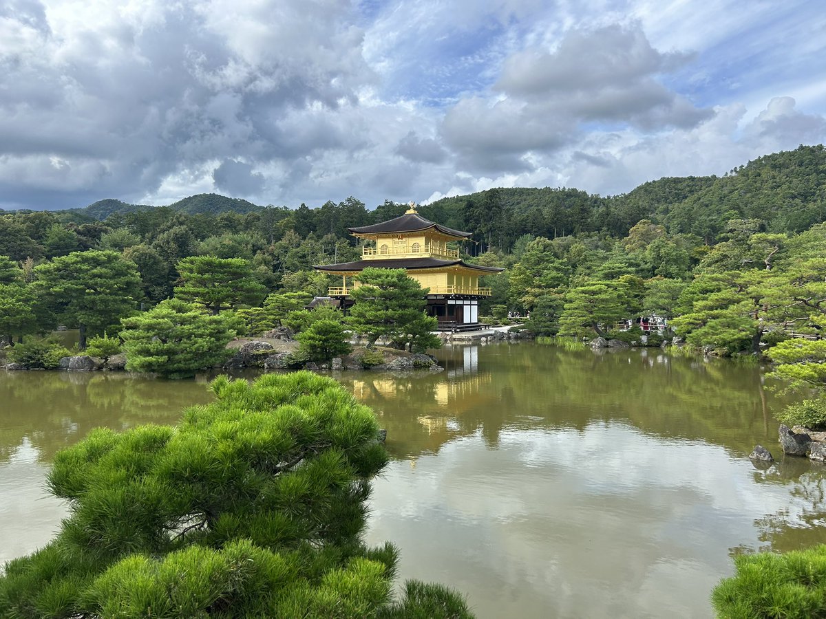 5648yanotti's tweet photo. 人生初の金閣寺
ほんまに金ピカピンやんけw https://t.co/I94RQh1g5W