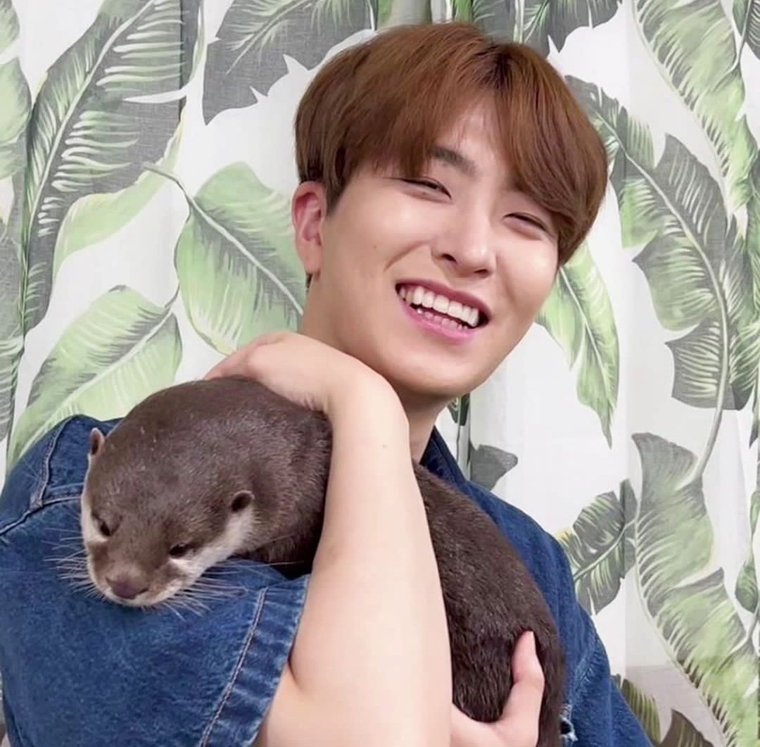 Gael_ArsKyun's tweet photo. D-377-376
Our favorite otter 🦦🤎 https://t.co/69cmy5x7HS
