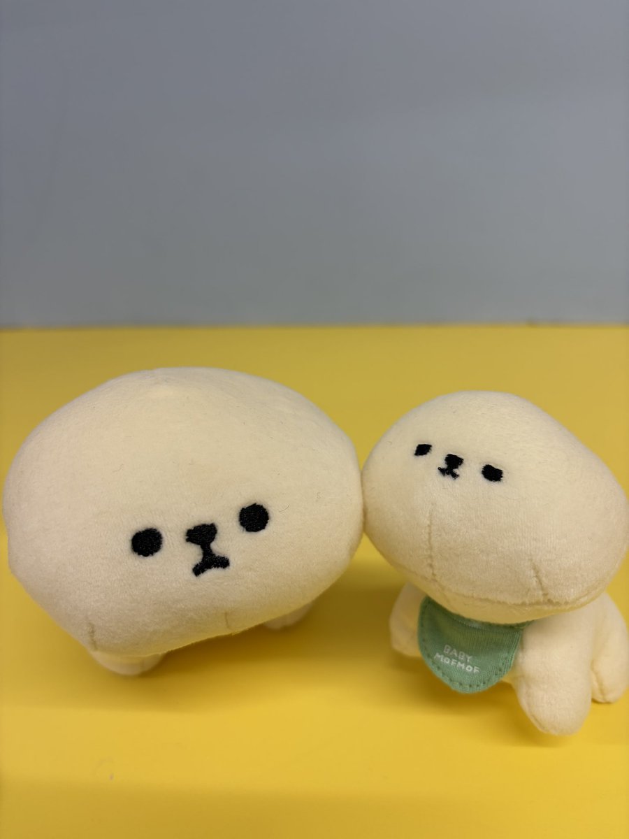 MOFMOFRIENDS【公式】 (@_MOFMOFRIENDS_) / Posts / X